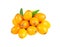 Close-up of buckthorn on white with clipping path