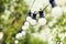 Close up of bulb garland hanging in rainy garden