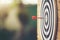 Close up bullseye or dart board has dart arrow hitting the center with nature backgrounds