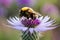 A close-up of a bumblebee, delicately collecting nectar from the heart