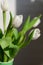 Close-up of a bunch bouquet of beautiful white tulips indoors.