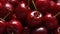 Close up of a bunch of bright red cherries Generative AI