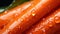 A close up of a bunch of carrots with water droplets on them, AI