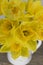 Close up of a Bunch of daffodils in a jug