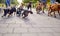 Close up of a bunch of dogs on the leash on the walk in the park led by dog walkers. Pets, walkers, service