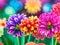 A close up of a bunch of flowers, a digital painting.