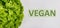 Close up bunch of fresh, green batavia lettuce salad and vegan text isolated on grey. Bio food, healthy diet symbol. Organic