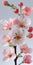 A close up of a bunch of pink flowers, Spring close-up image of apple blossoms