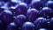 A close up of a bunch of purple plums with water droplets on them, AI