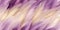 A close up of a bunch of purple and white feathers, purple, ombre and white abstract background