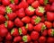 close up of a bunch of strawberries.