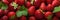 A close up of a bunch of strawberries. Sweet fruits background