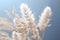 a close up of a bunch of wheat on a blue background