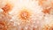 A close up of a bunch of white flowers, peach fuzz, color of the year 2024, monochromatic image