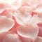 A close up of a bunch of white rose petals, AI
