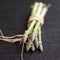 Close up of a bundle of asparagus. Conceptual image