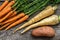 Close up of a bundle of carrots, parsnip and sweet potato