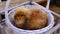 Close-up of a bunny sitting in a basket and eating a carrot.