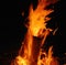 Close up of burning bonfire with branches and orange flames, created using generative ai technology
