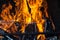 Close-up of a burning campfire fire in orange and yellow colors on wooden charred logs in a brazier behind metal rods before