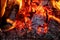 Close-up of a burning fire in a brick fireplace. Birch firewood.