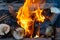 close up burning firewood bonfire