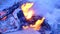 Close-up of burning firewood with warm red orange and yellow tongues of fire flames and with smoke on the wind outdoor