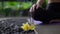 Close up of burning incense sticks with yellow flowers on stone floor outside