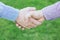 Close up of a business man hand shake between two colleagues greet