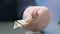 Close-up of businessman hand giving money, tips for hotel service, payment