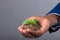 Close up of businessman holding a seedling against grey background