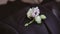 Close-up of a buttonhole on a wedding jacket.