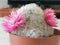 Close-up Cactus Corolla Mammillaria hahniana pink flower