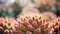 Close up of a cactus plant with red spikes, AI