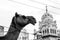 Close up of a camel and behind the sacred Gurudwaras temple many wires