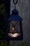 Close up of a Candlelight Lamp with a lit candle at the grave side at evening.