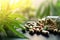 close-up of cannabis pills with a blurred marijuana plant in the background