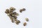 Close up cannabis seeds on white background. hemp seeds for planting agriculture herbal medicine, marijuana seed.Top view