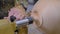 Close up: carpenter using chisel for shaping piece of wood on lathe: slow motion