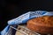 Close-up of carrot cake with blue napkin, on oven rack and rustic wood, black background