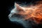 A close up of a cat with fire coming out from its head, AI