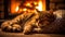 close up of a cat, Nestled on a cozy rug near a crackling fireplace, AI generated