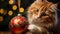 A close-up of a cat playing with a Christmas ornament
