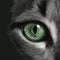 a close up of a cat\\\'s green eye with a black background and a white stripe on the side of the cat\\\'s face