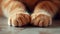 A close up of a cat's paws and claws on the floor, AI