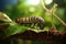 A close-up of a caterpillar beginning its metamorphosis into a butterfly