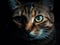 A close-up of a cats eyes glowing in the dark with an intense stare created with Generative AI