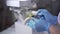 Close-up of Caucasian hands in protective gloves applying blue paint on teeth cast. Dental technician remodelling