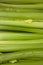 Close up of celery sticks