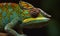 Close-up of chameleon reveals colorful changing skin Creating using generative AI tools